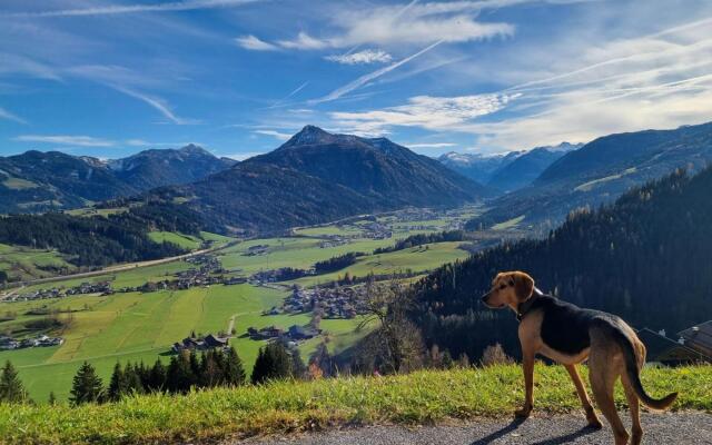 Holiday house, Flachau