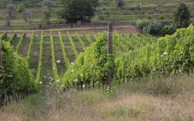 Agriturismo Il Bardellino