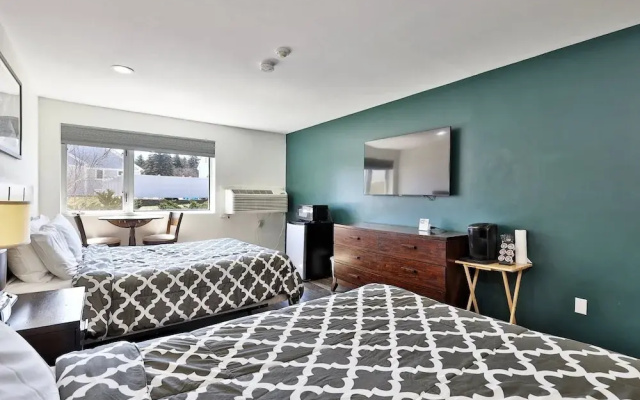 Renovated Studio #523