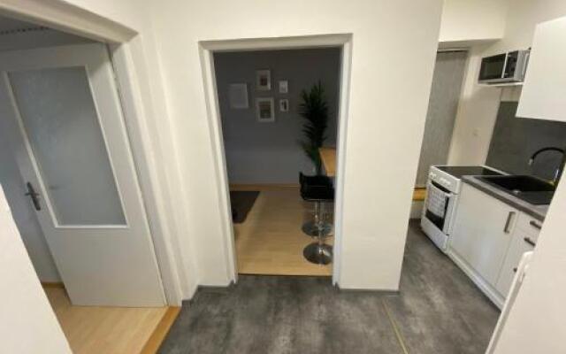 Downtown Flat under Spilberk Castle