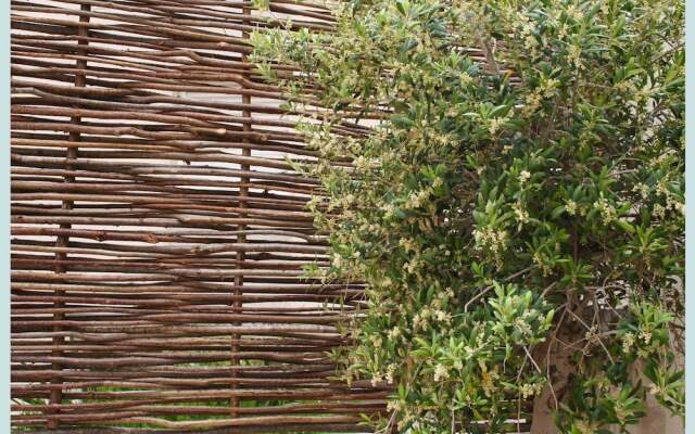 Hotel de l'Anglais, Guesthouse