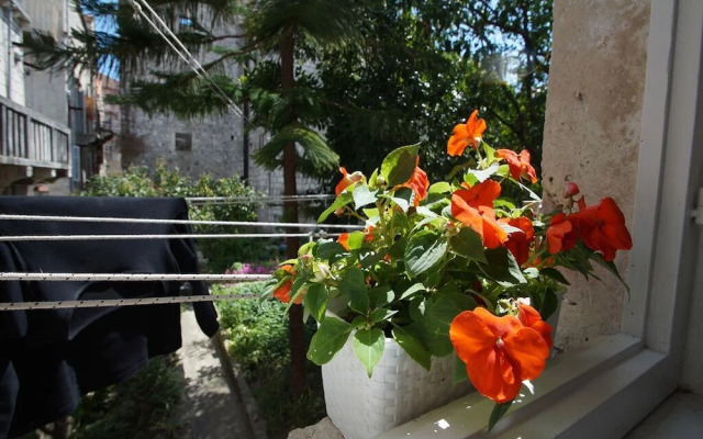 Guesthouse Old Town
