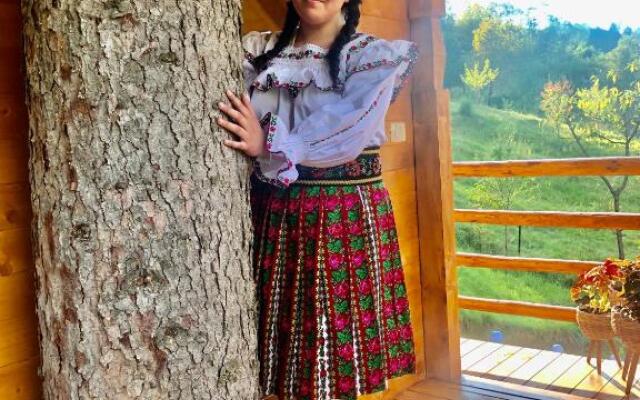 Complex Căsuțe Căsuța din Deal Moisei