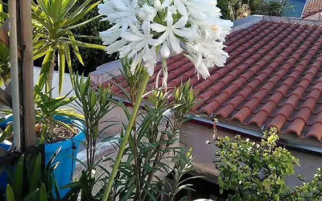 Nikita Traditional House