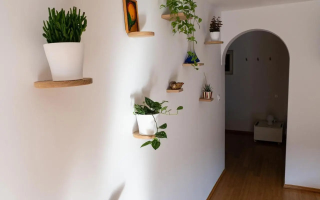 D&N Apartment