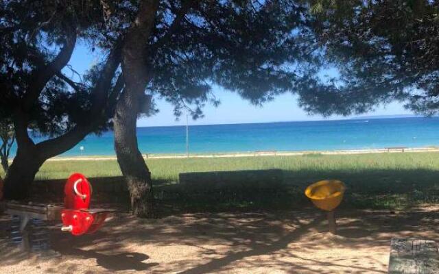 Apartment Gajac A7 44