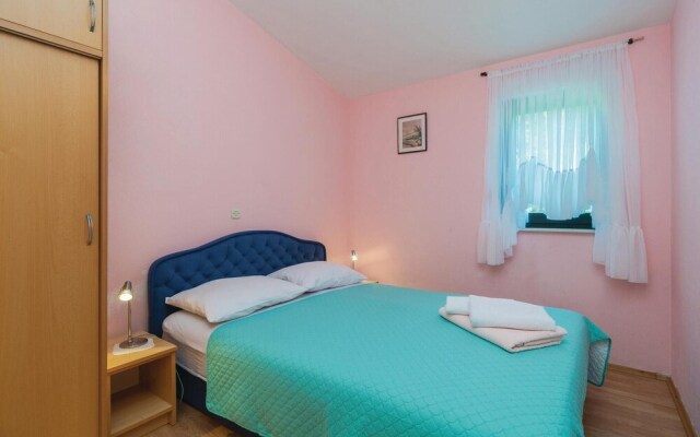 Nice Home in Stanici With Wifi and 2 Bedrooms