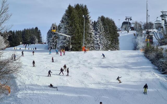 Hotel Winterberg Resort