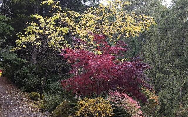 The Perch at Moon Dance