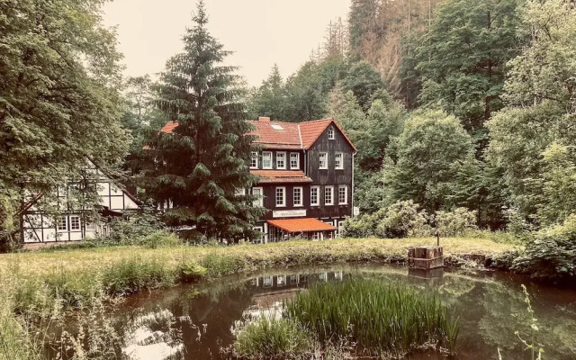 Waldhaus Wolfsbachmühle
