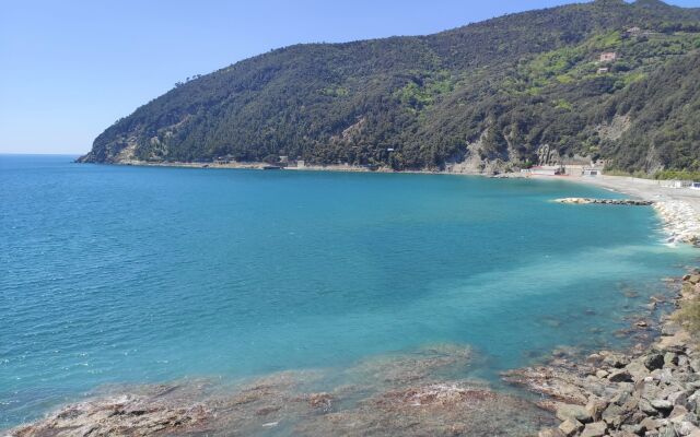 Locazione turistica Agave