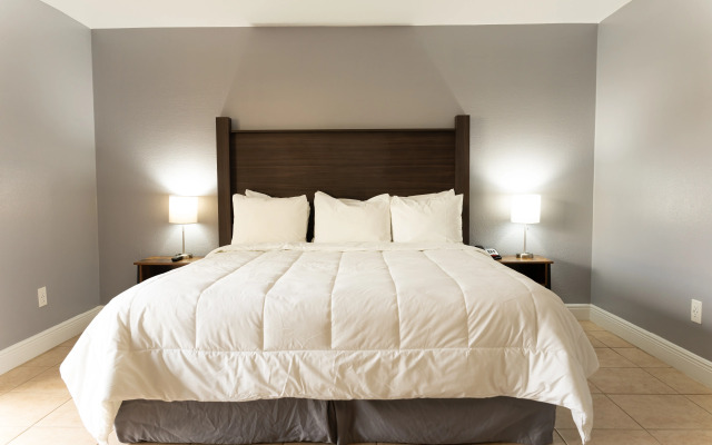 Celebration Suites