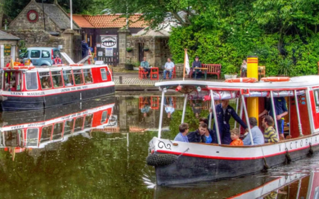 The Little Beech Tree