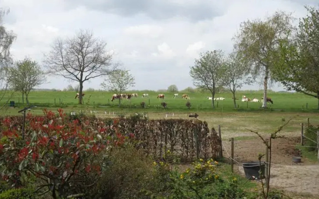 B&B De Eefdese Enk