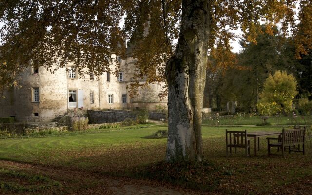 Château des Martinanches