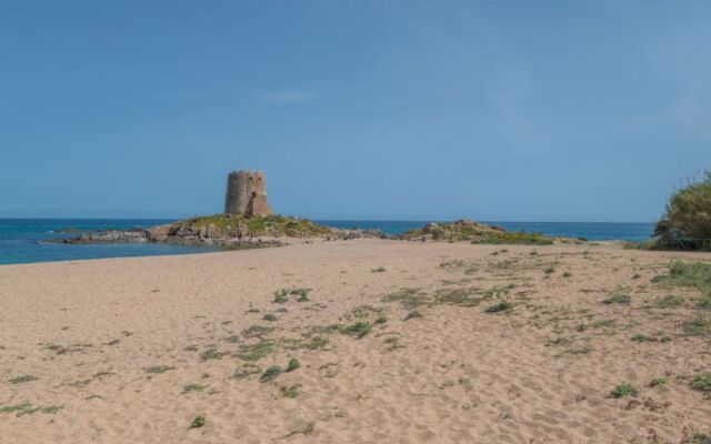 Locazione turistica Surphinia