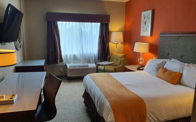 Hotel San Francisco Leon