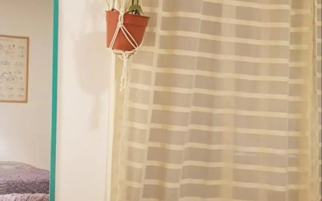 Studio 7 - Hospital Italiano