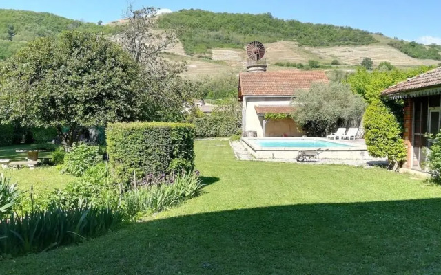 Les palmiers de mauves