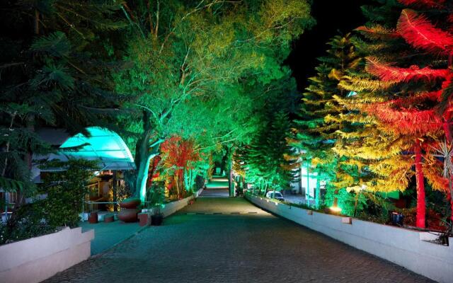 Summer Plaza Resort