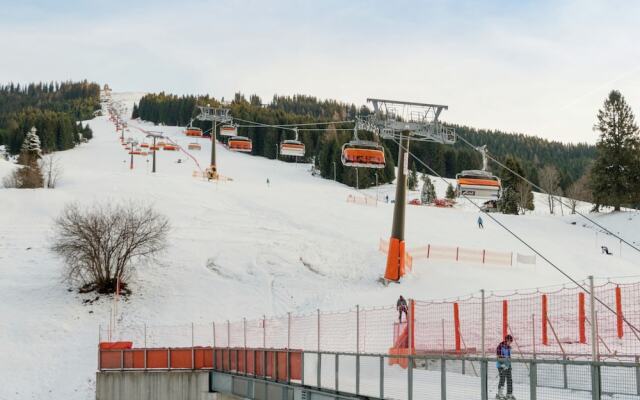 Spacious Chalet near Ski Area in Dienten am Hochkonig