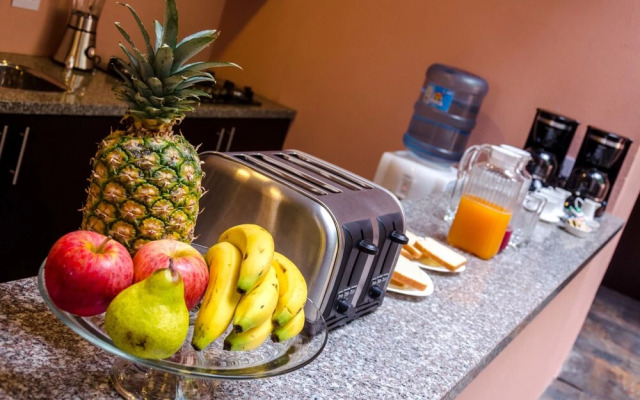 Oasis Fresh Hotel