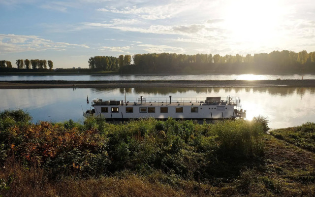 RheinRiver Guesthouse - Direkt am Rhein