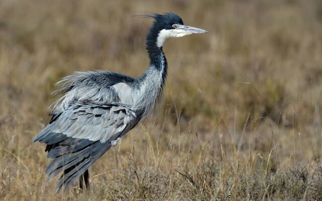 Shamwari Sarili Lodge