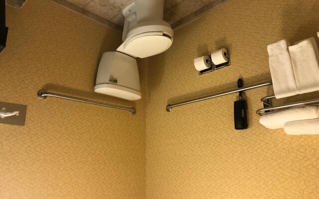 Holiday Inn Express Hotel & Suites Lansing-Dimondale by IHG