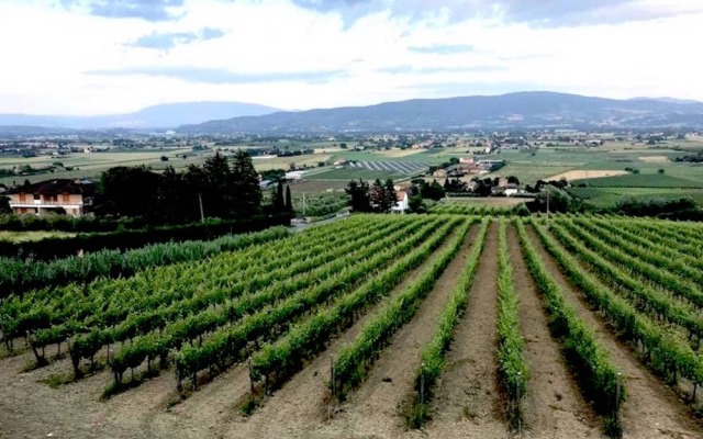 Agriturismo Chiorri