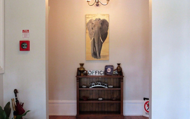 The White Elephant Accommodation - Hostel