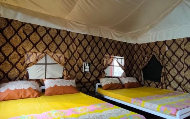 Stay In By Bull Adventure 0047
