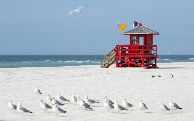 Kingston Arms On Lido Key 1BR