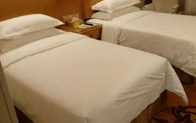 Vienna Classic Hotel (Hulun Buir Railway Station)