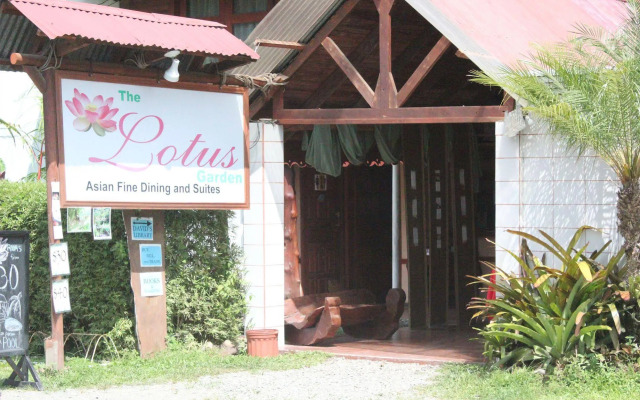 The Lotus Garden