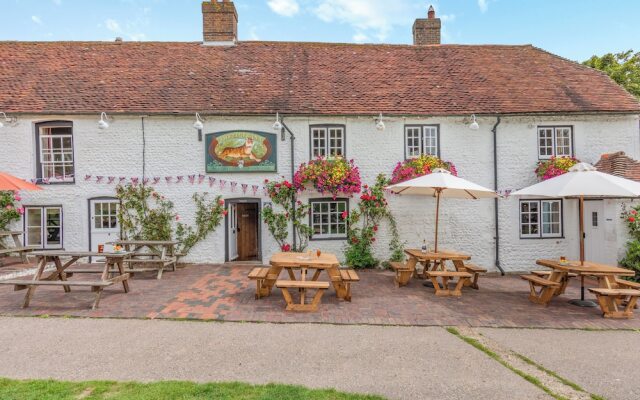 Minnie - Tiger Inn