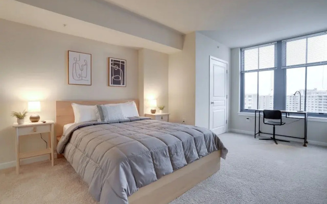 Incredible Apt in Pentagon City