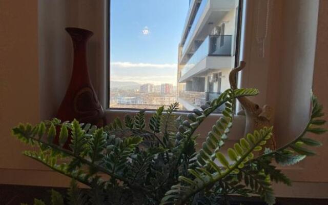 Q Apartaments near Palas Mall