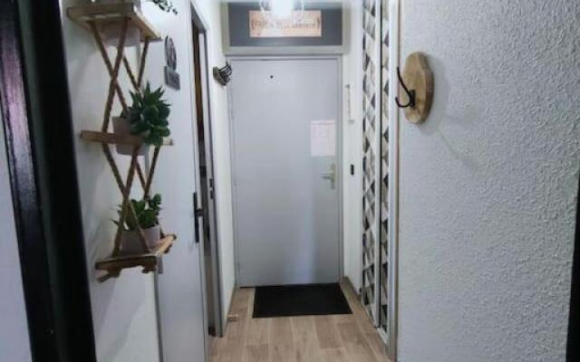 Superbe T2, à 100 mètres des pistes, piscine d'été