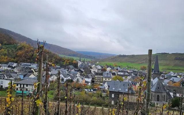 Apartment in Veldenz With Balcony