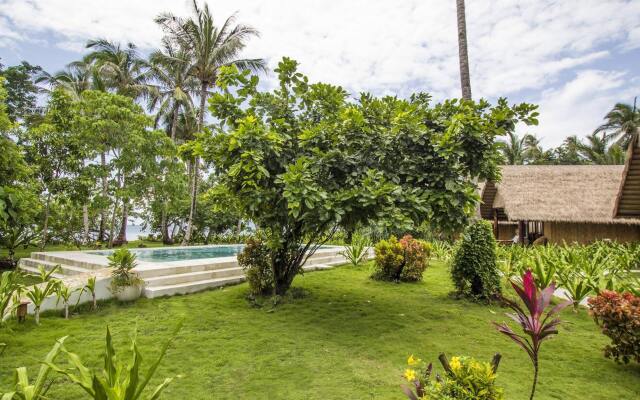 Qi Palawan