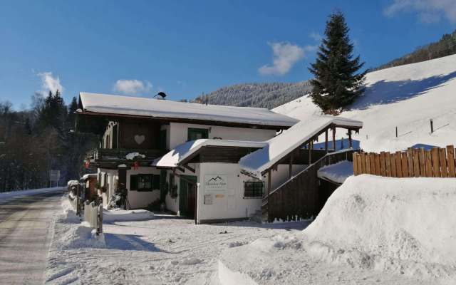 Cosy Apartment in Dienten with mountain view