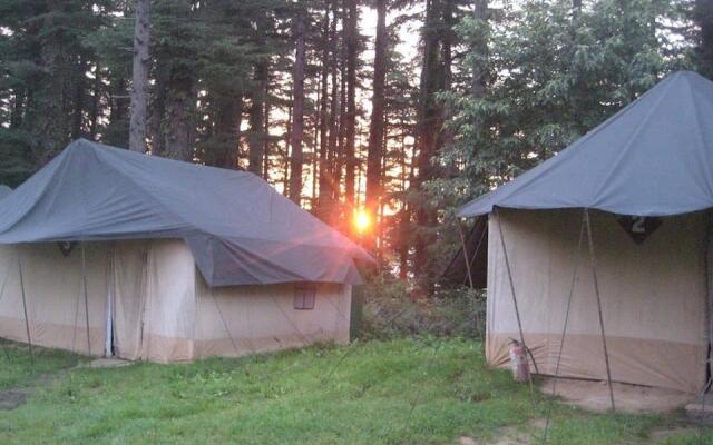 Camp Carnival