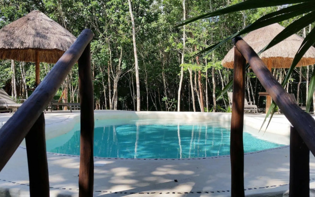 Pura Vida Cancun
