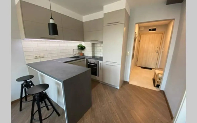 LUX 1BD/1BA City Center Apartment