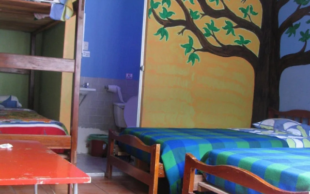 Hostal Transilvania