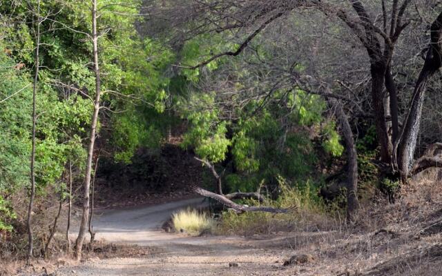 The Postcard Gir Wildlife Sanctuary