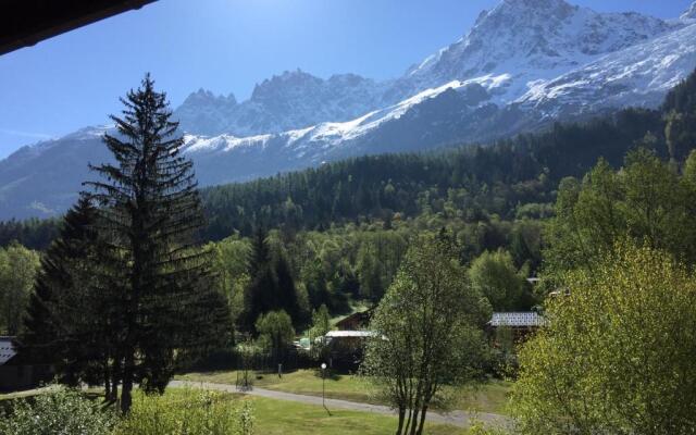 Appartement face au Mont Blanc & Glaciers