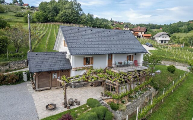 Vineyard cottage Kump