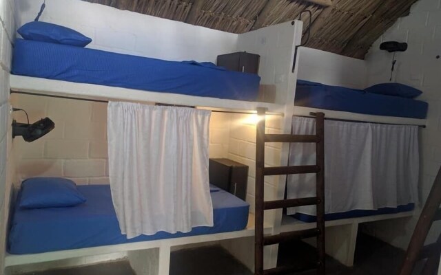 El Zoo Hostel & Pool